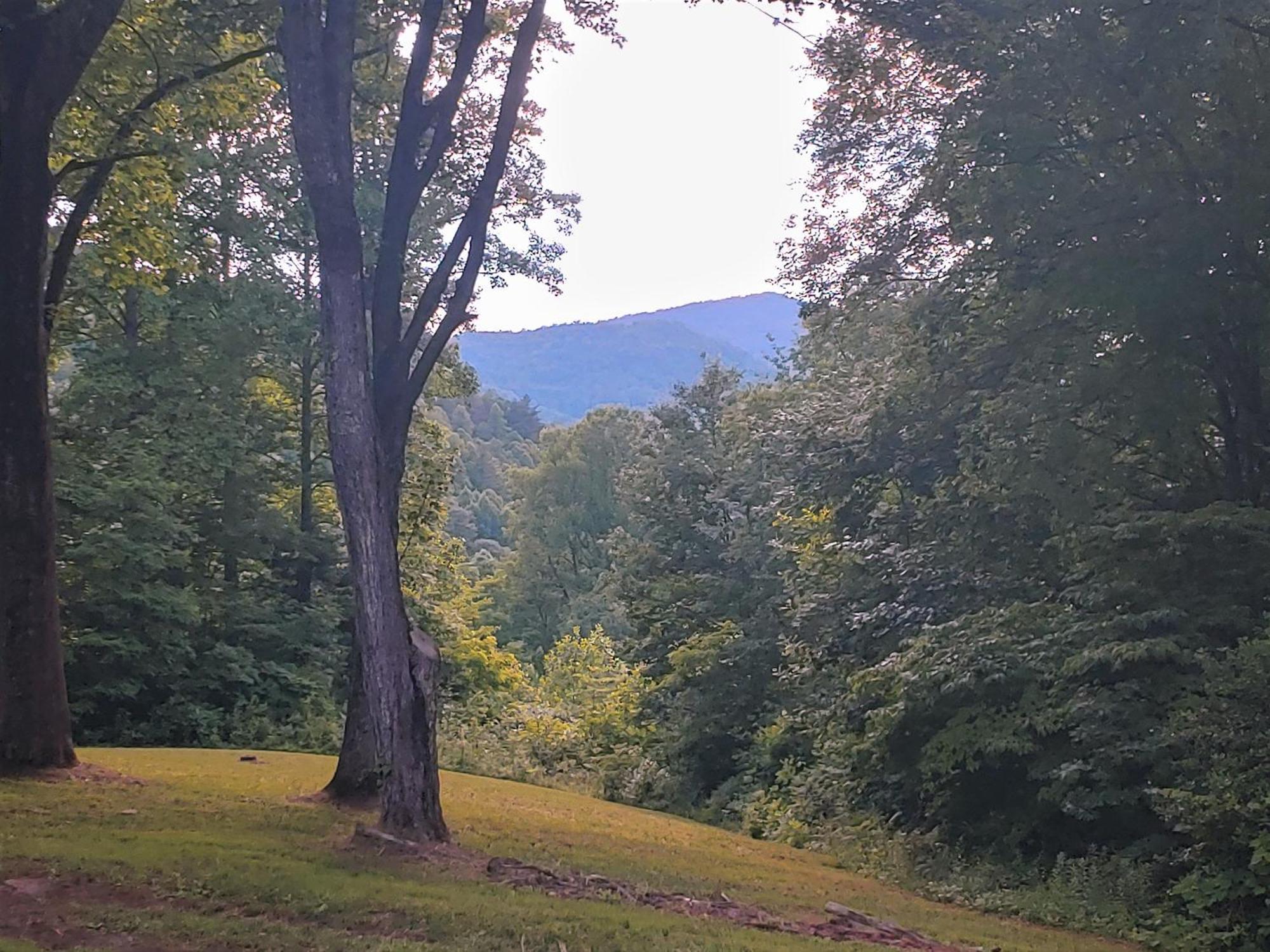 Bryson City Creekside Home With Hot Tub- 3 Bedroom-2 Bath Home Exterior foto
